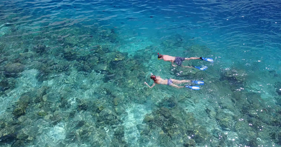 Bahamas Snorkeling locations, discover the best snorkeling in Bahamas, from Staniel Cay, to Green Turtle Cay, the Exumas and the Abacos. Take a Day Trip to Bahamas from FLorida with Bahamas Air Tours