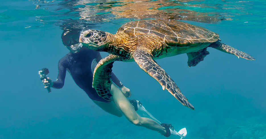 Bahamas Snorkeling Tour. For the best snorkeling in Bahamas take a Day Trip to Bahamas or Bahamas ISland hopping tour with Bahamas Air Tours