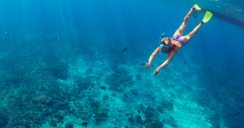 Freeport Bahamas Snorkeling. Take a Day Trip to Bahamas or Bahamas ISland Hopping tour with Bahamas Air Tours.
