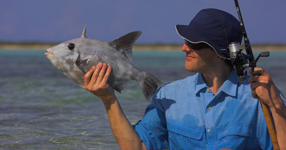 Take a Bahamas fishing tour with Bahamas Air Tours and discover the best Bahamas fishing destinations. From Bonefishing Bahamas take a Bahamas Fishing Charters and private tour.