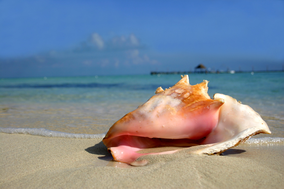 Nassau Beaches Bahamas, explore the best beaches in Nassau Bahamas.
