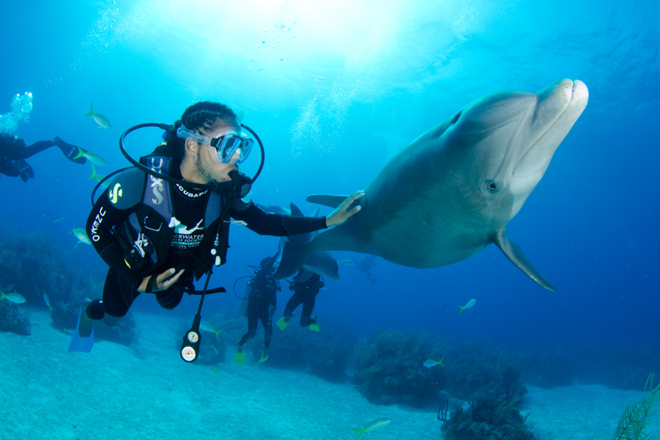 Freeport Bahamas Excursions UNEXSO for visiting the dolphins