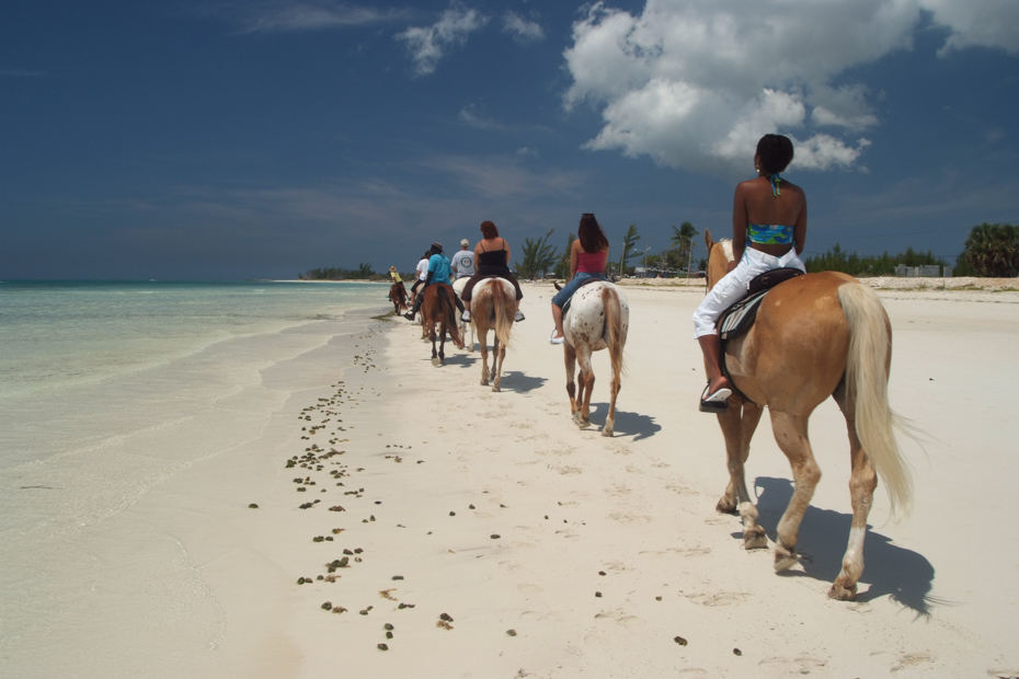 Day trip Bahamas horseback riding in Nassau. Horseback Riding Bahamas is one of the top Bahamas activities