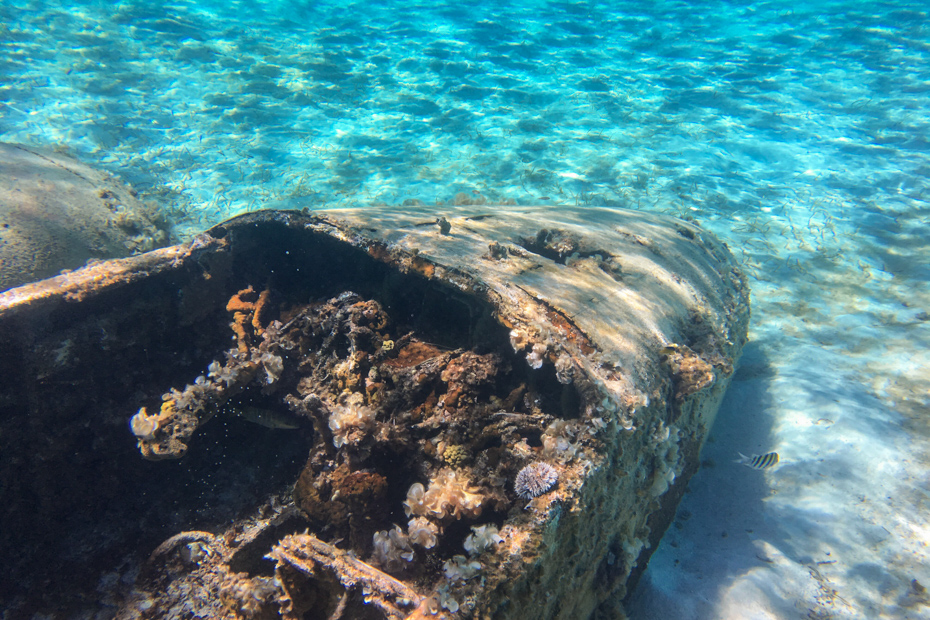 Join the Staniel Cay Tours on any of the many Staniel Cay Day Trips from Miami.