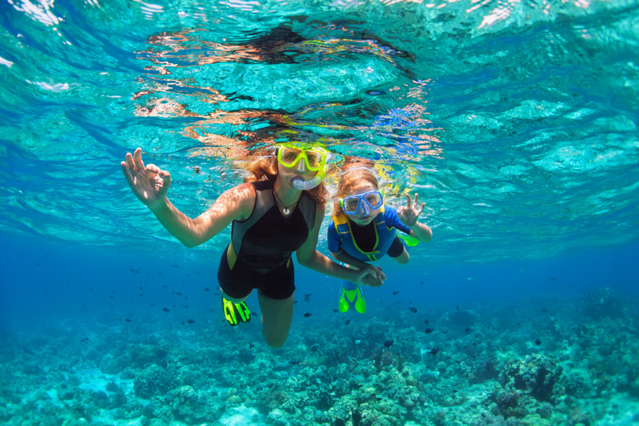 Snorkeling is a popular Bahamas excursions no matter where you are. You can also swim with Pigs Nassau on an Exuma pigs excursion with Bahamas Air TOurs.
