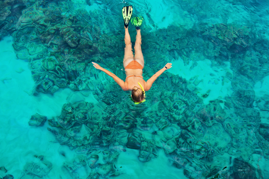 Snorkeling is a top Bahamas things to do. Know what to do in the Bahamas before you arrive with this guide. Know the best places in Bahamas. Bahamas Air Tours gives you your guide to Day Trips to Bahamas.