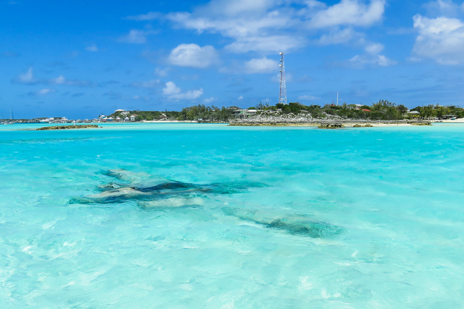 Swim with pigs excursion visits the underwater Bahamas Plane Wreck at Staniel Cay. Visit the Exuma Plane Wreck on pig beach hbahamas tour to Swimming Pigs island.