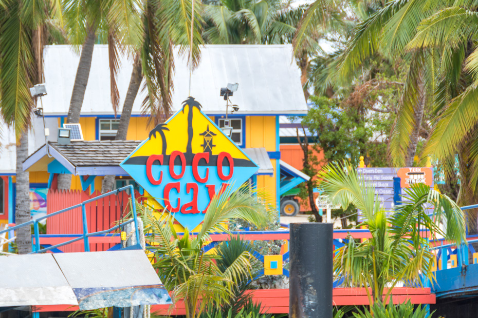 Bahamas Cruise from Miami to Coco Cay private island. With so many cruises leaving from Miami you will be spoilt for choice for the best cruises from florida to bahamas.