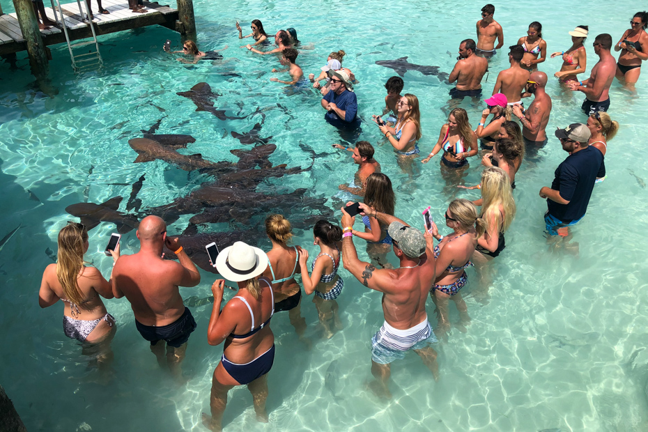 Bahamas Air Tours offers personalized trips to Compass Cay Bahamas. Check out Compass Cay Marina in the Exuma Cays on your Bahamas vacation.