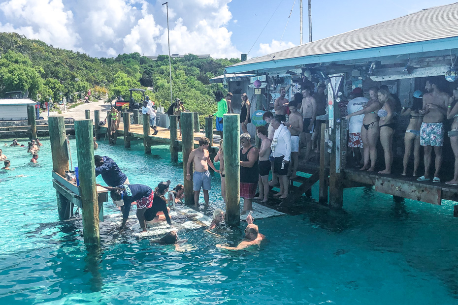 Nassau Swim with Sharks Exuma Bahamas. Compass Cay Marina in the Exuma Cays is home to the ultimate Swim with Sharks Nassau to Exuma Day Tour with Bahamas Air Tours.