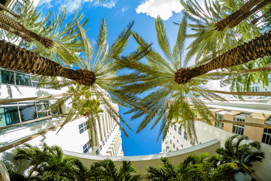 Where to stay in Miami — Downtown and Brickell Avenue is a great central location for visitors to Miami Florida. One of the Best Hotels in Miami are chains like Conrad and Marriott and Hyatt.