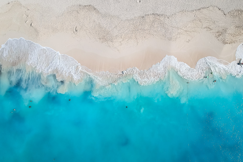 How to Have an Amazing One Day Cruise to Bimini Bahamas