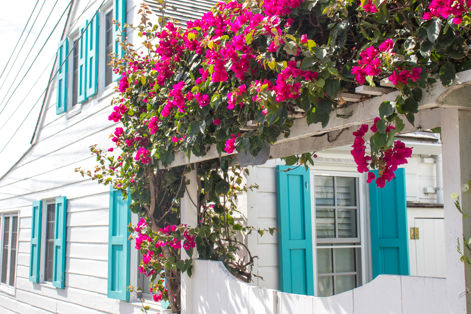 How to get to Harbour Island? Take the plane with Bahamas Air Tours and enjoy a one day tour excursion from Nassau to Harbour Island Eleuthera.