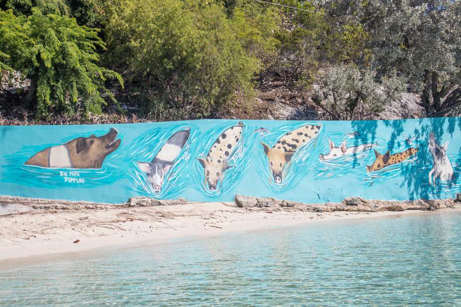 Fly to the Bahamas Pig Beach with Florida to Bahamas flights and day trips from Bahamas AIr Tours.