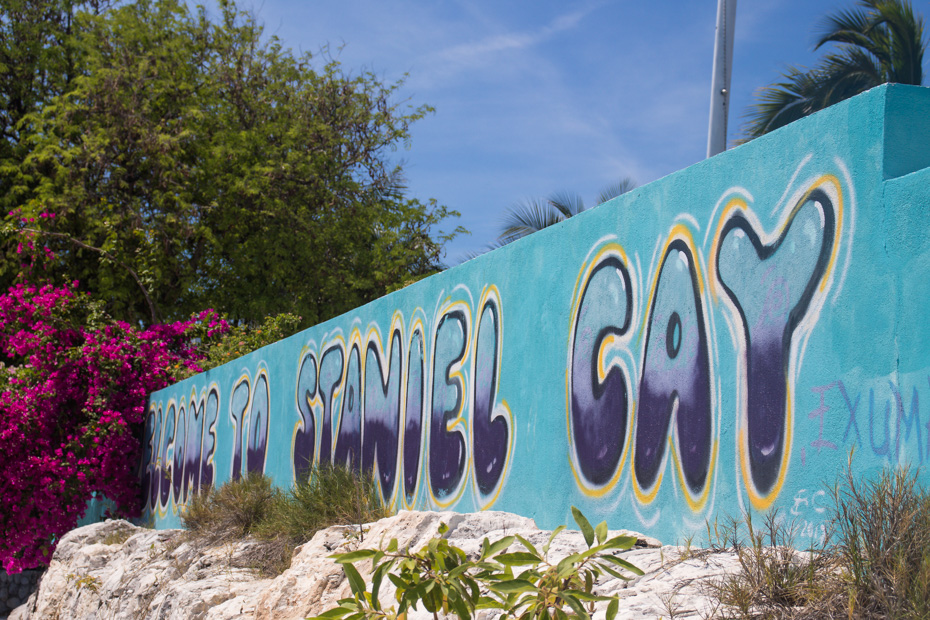 Getting to Staniel Cay Exuma Bahamas by Plane is easy with a Bahamas Day Trip from Bahamas Air Tours. Go direct to Pig Beach, Big Major Cay by plane!