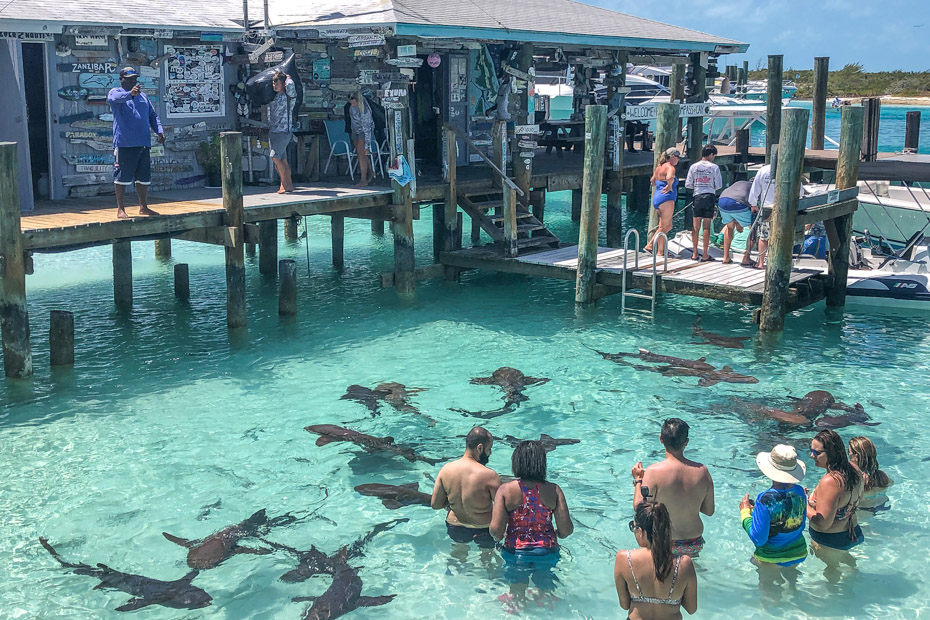 Compass Cay Bahamas is home to the Exuma Swimming with Sharks Experience Bahamas.