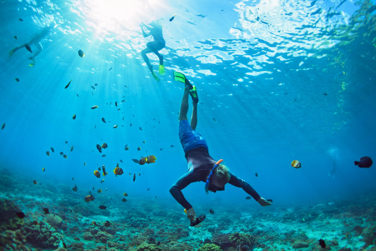 Snorkeling on a Bahamas Day Trip to Eleuthera with Bahamas Air Tours.