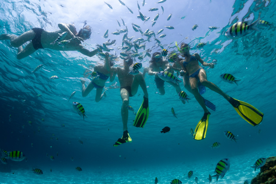 Snorkel at Cistern Cay Rock in the Bottom Harbour Bay to discover the rich diversity of Bahamas marine life.