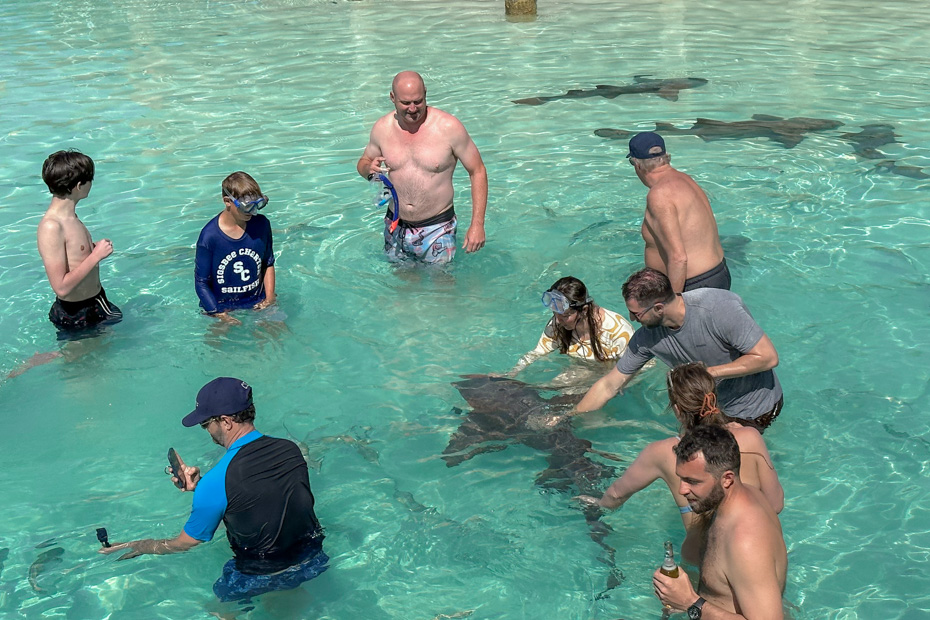 Swimming with sharks at compass cay on a one day trip to Bahamas sharks.