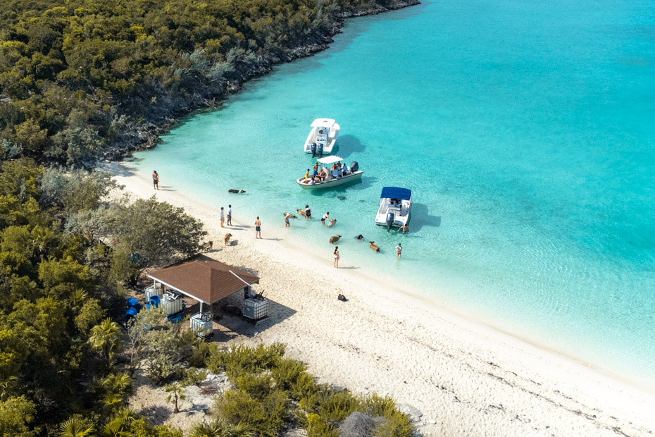 Pig Beach Bahamas (Exuma), one of the best beaches in nassau bahamas.